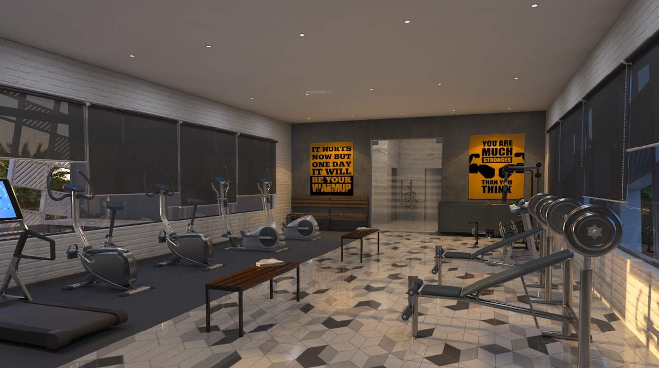  nest building c Gymnasium