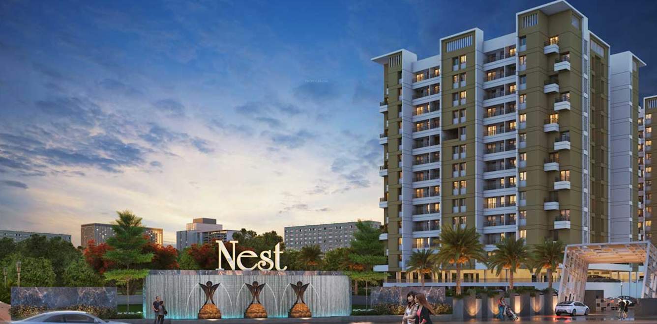  nest building c Others