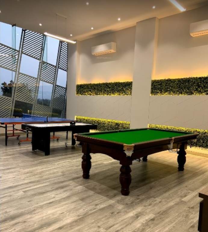  nest building c Others