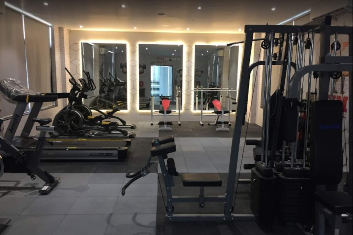  nest building c Others