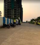 Others  nest-building-c Others