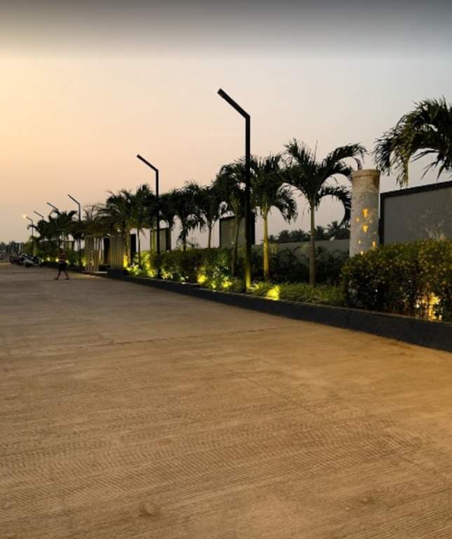  nest building c Others