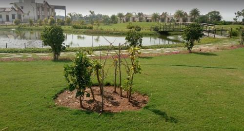  prarambh Landscape Garden and Tree Planting