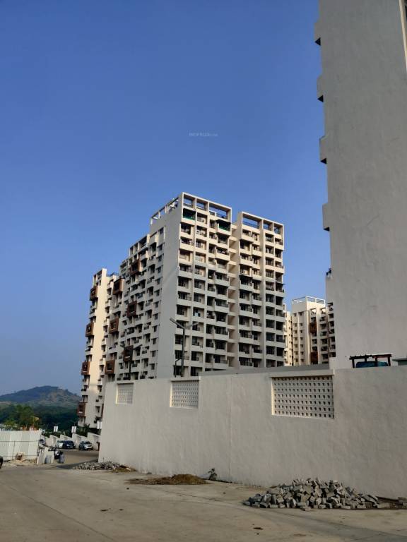 abitante fiore phase 2a Images for Project