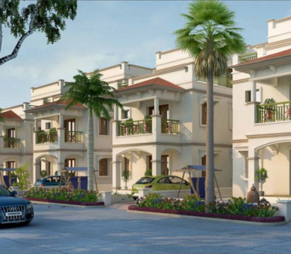  divyapunj-palm-valley Elevation