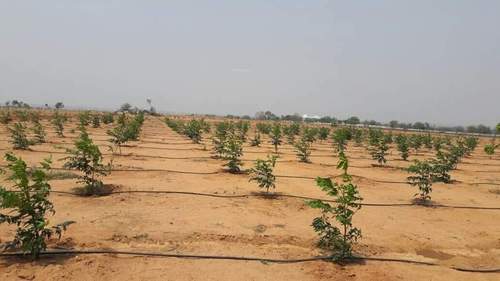 Images for Elevation of Aadhira Nature Farms