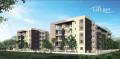 Star Gold Properties Lake Mist