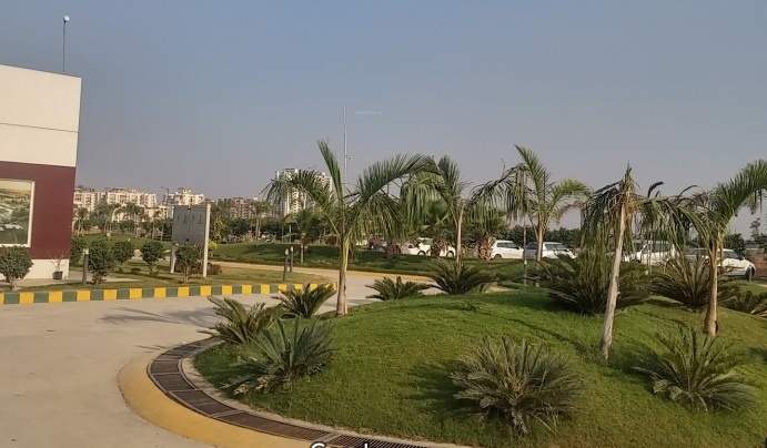  the hemisphere Landscape Garden and Tree Planting