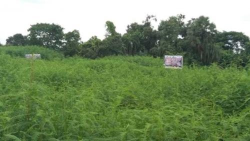  amrita-village Images for Elevation of Greenview Amrita Village