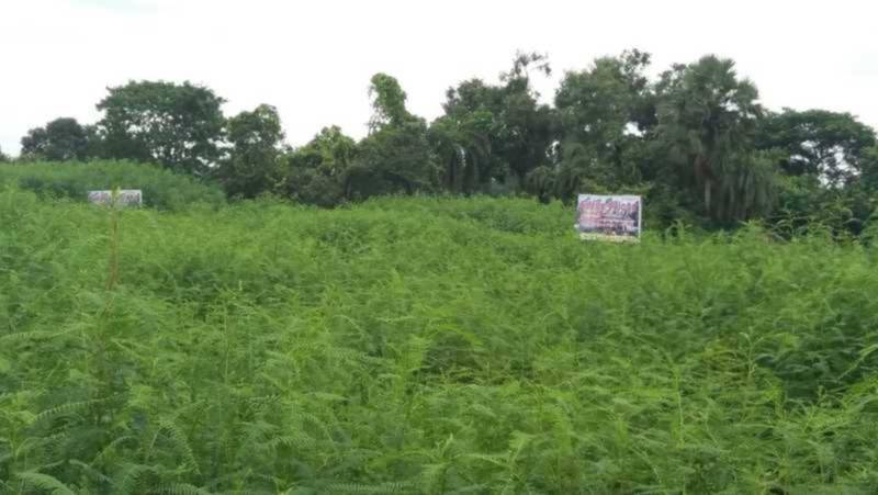  amrita-village Images for Elevation of Greenview Amrita Village