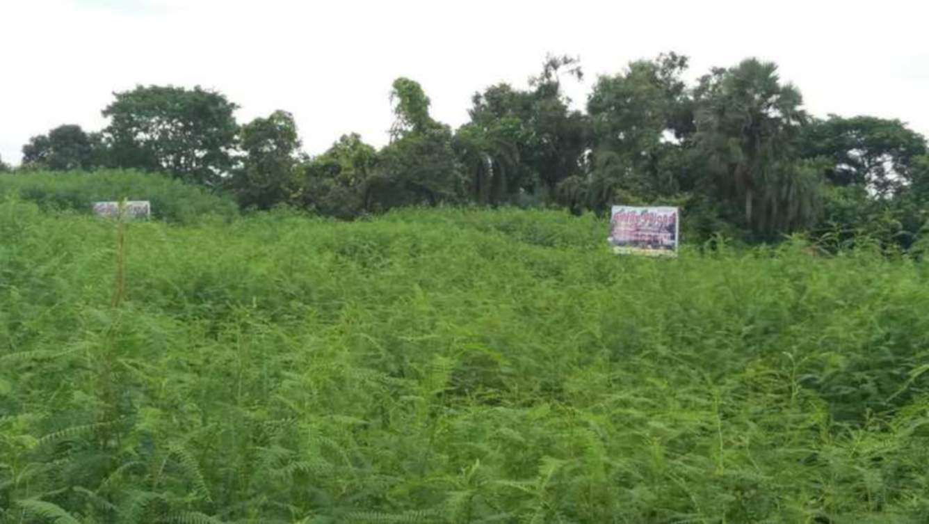  amrita village Images for Elevation of Greenview Amrita Village