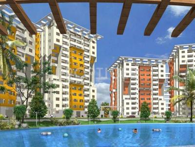  golden-palms Images for Elevation of Golden Golden Palms