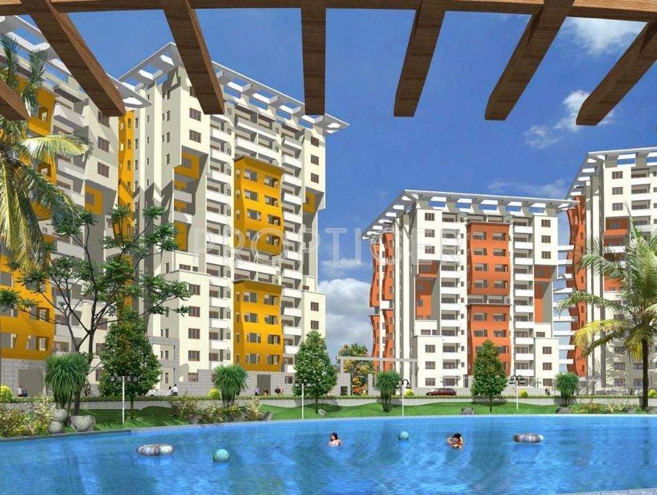  golden palms Images for Elevation of Golden Golden Palms