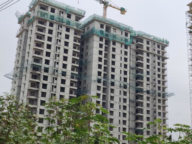 royal pavilion Construction Status Nov 23