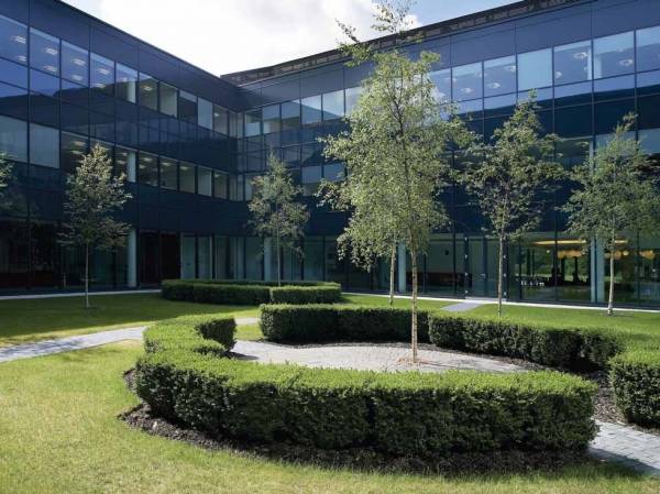  codename-bizcampus Others