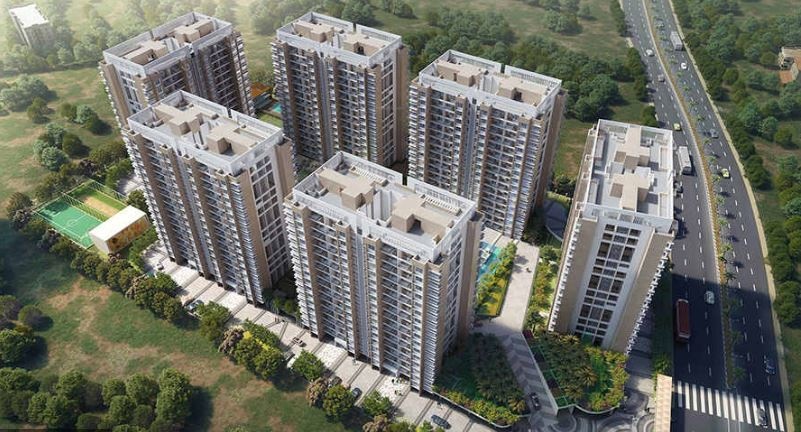 Pride Purple Park Connect