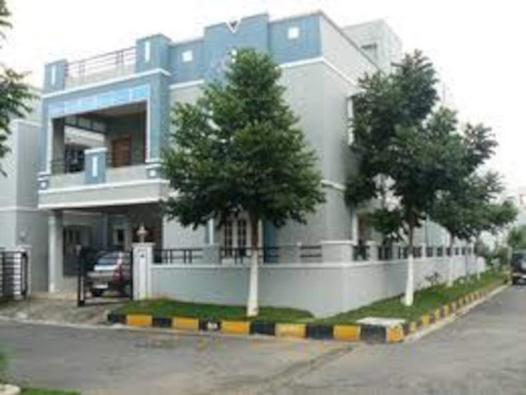  homes Elevation
