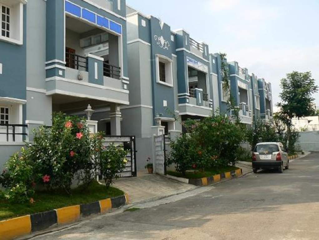  homes Elevation