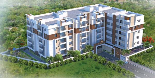 Images for Elevation of Sunshine Tansy