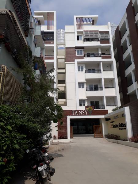  tansy Images for Project