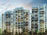  raintree-boulevard-phase-2 Elevation