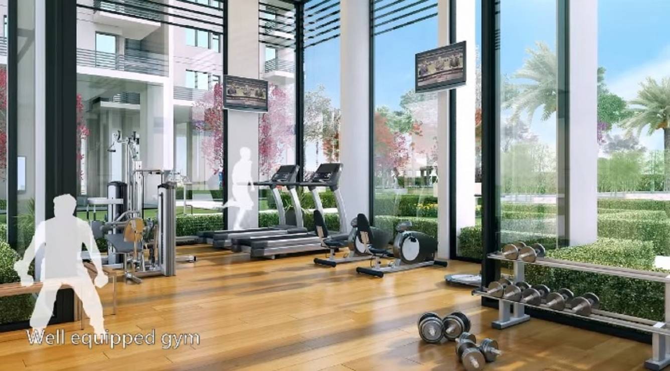  pearls phase ii Gymnasium