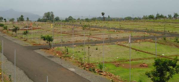 Images for Elevation of TMR Terrain Block F Images for Elevation of TMR Terrain Block F