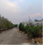  town-homes Elevation