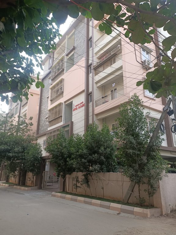  jewel paradise Elevation