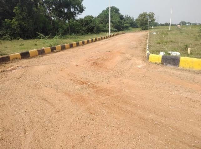  future city Elevation