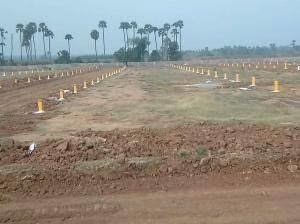  future city Elevation