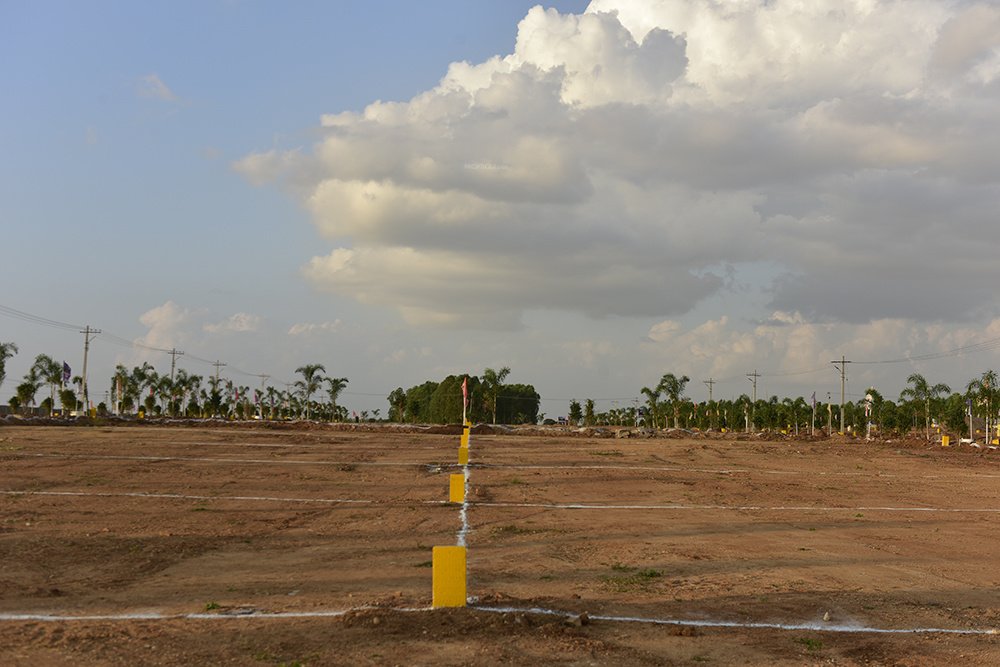  future city Elevation