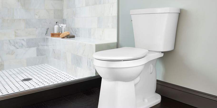  shree sai Bathroom