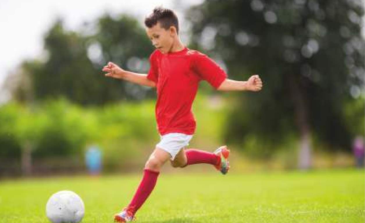  signature towers phase 3 Others