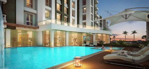  freshia Swimming Pool