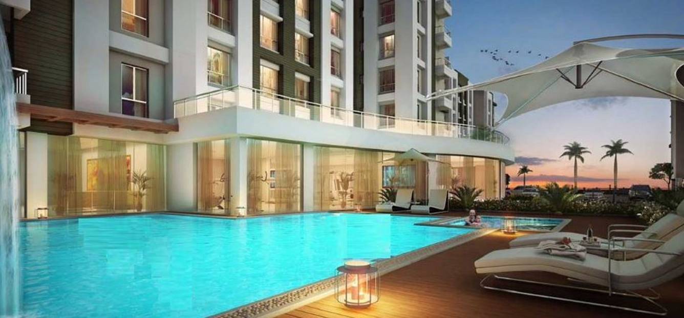  freshia Swimming Pool