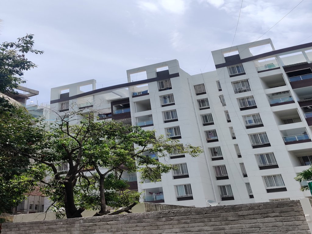  sapphire c Elevation