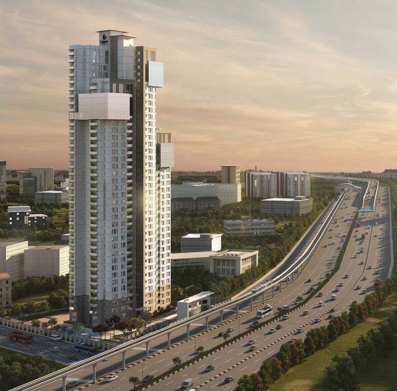 Images for Elevation of Columbia Aaltius