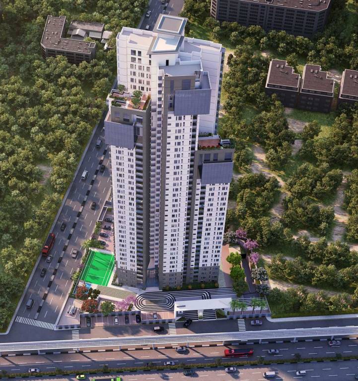 Images for Elevation of Columbia Aaltius