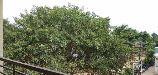  diamond Construction Status Sept-20