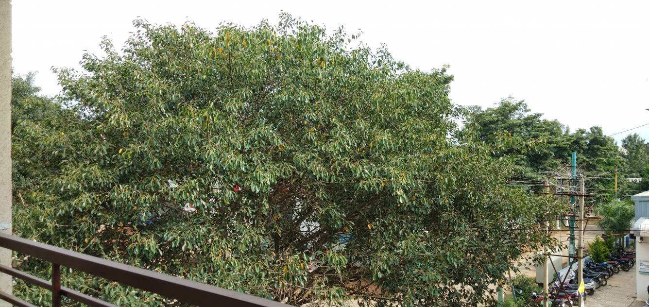  diamond Construction Status Sept 20