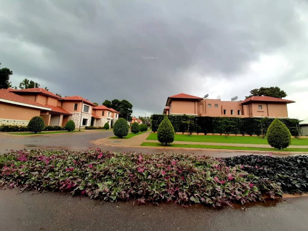  waterford estate Elevation