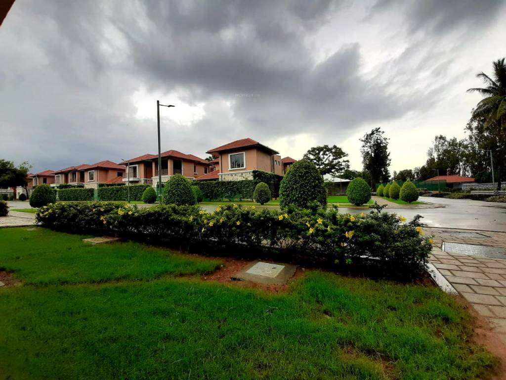  waterford estate Elevation