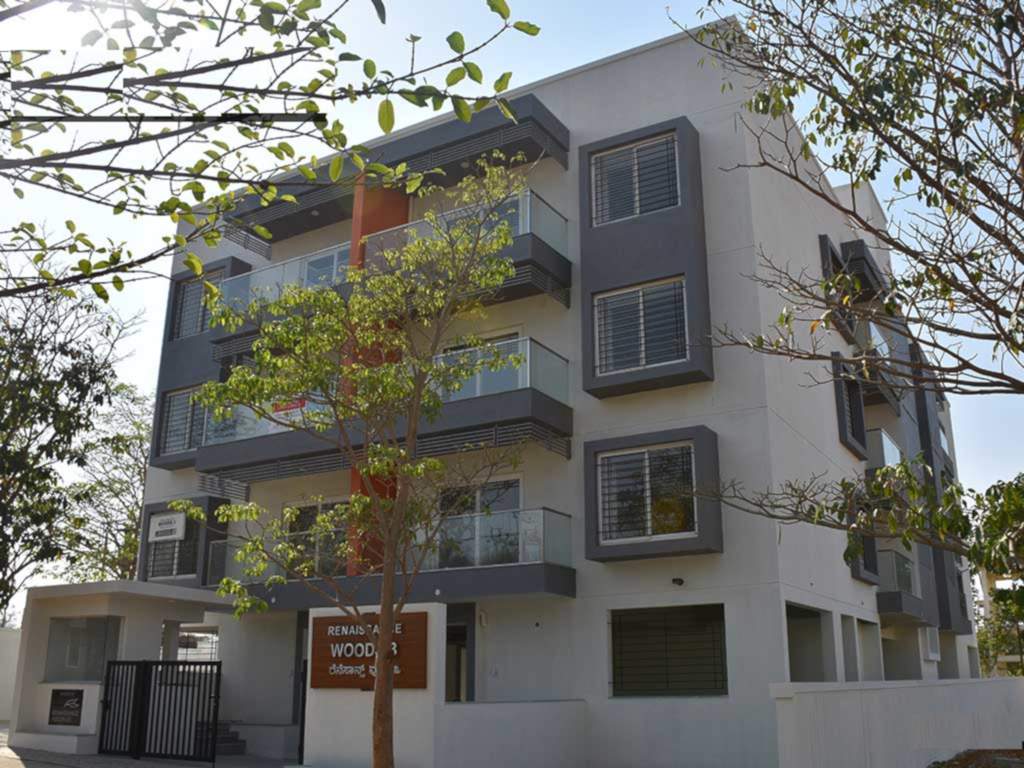  woods 3 Images for Elevation of Renaissance Woods 3