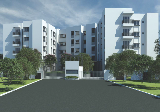 100-trees Elevation Elevation