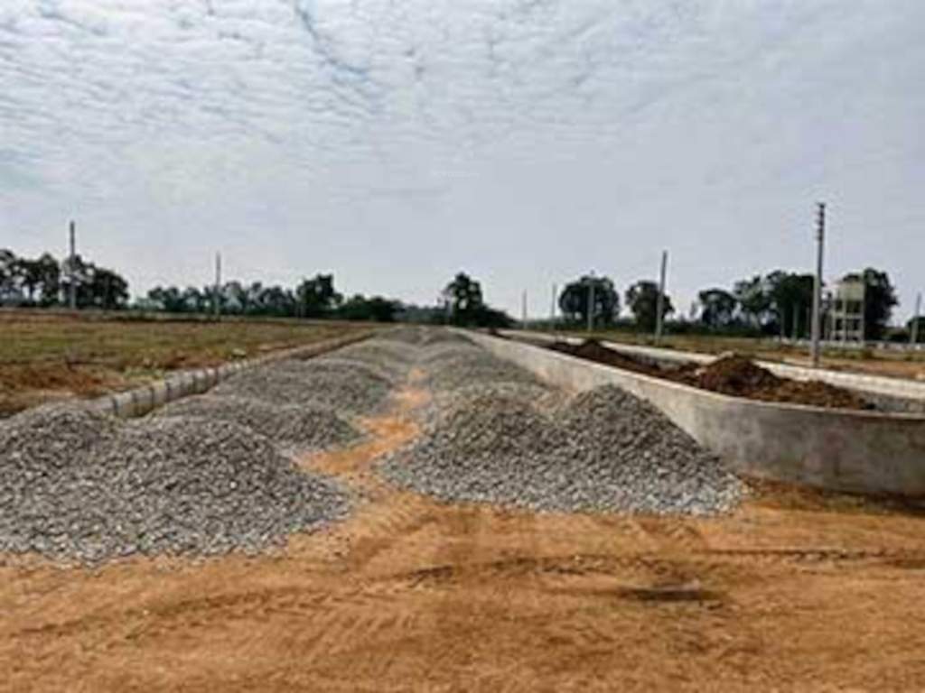  lr green chips Elevation