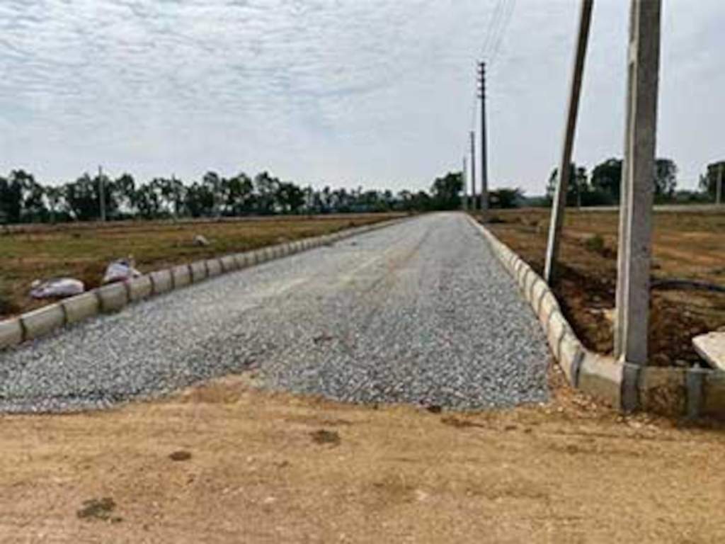  lr green chips Elevation