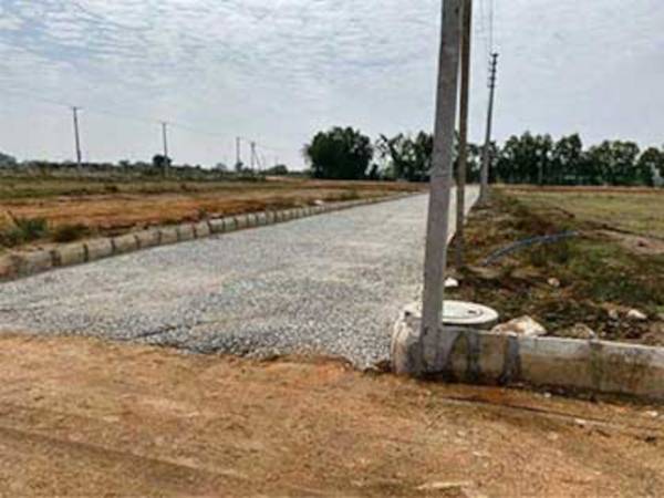  lr-green-chips Elevation