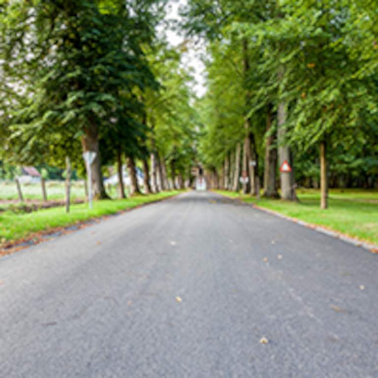  lr green chips Others