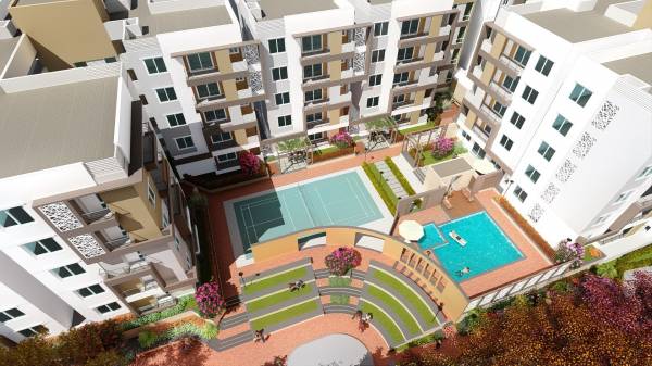  sunny-verano Elevation